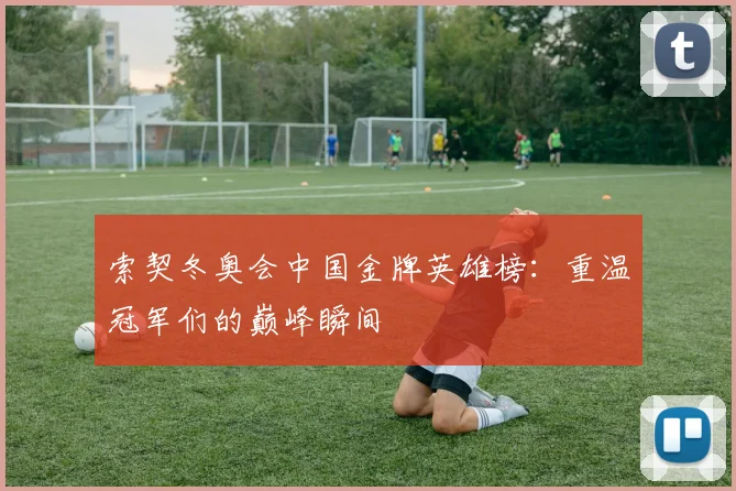 索契冬奥会中国金牌英雄榜：重温冠军们的巅峰瞬间