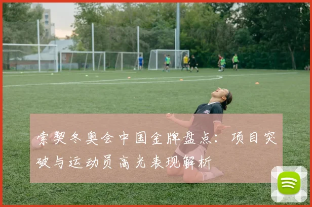 索契冬奥会中国金牌盘点：项目突破与运动员高光表现解析