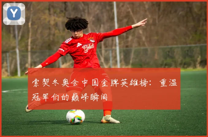 索契冬奥会中国金牌英雄榜：重温冠军们的巅峰瞬间
