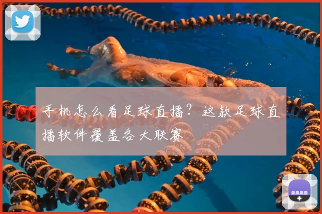 手机怎么看足球直播？这款足球直播软件覆盖各大联赛
