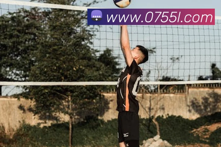 App Interface Preview