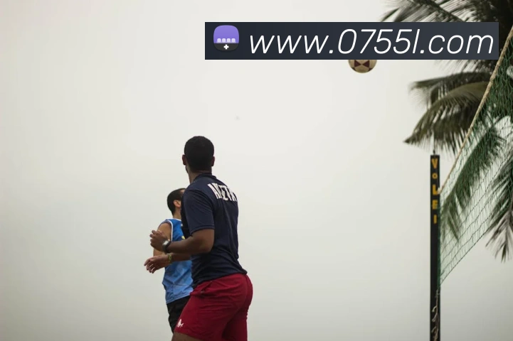 开云在线官网登录入口APP 封面图